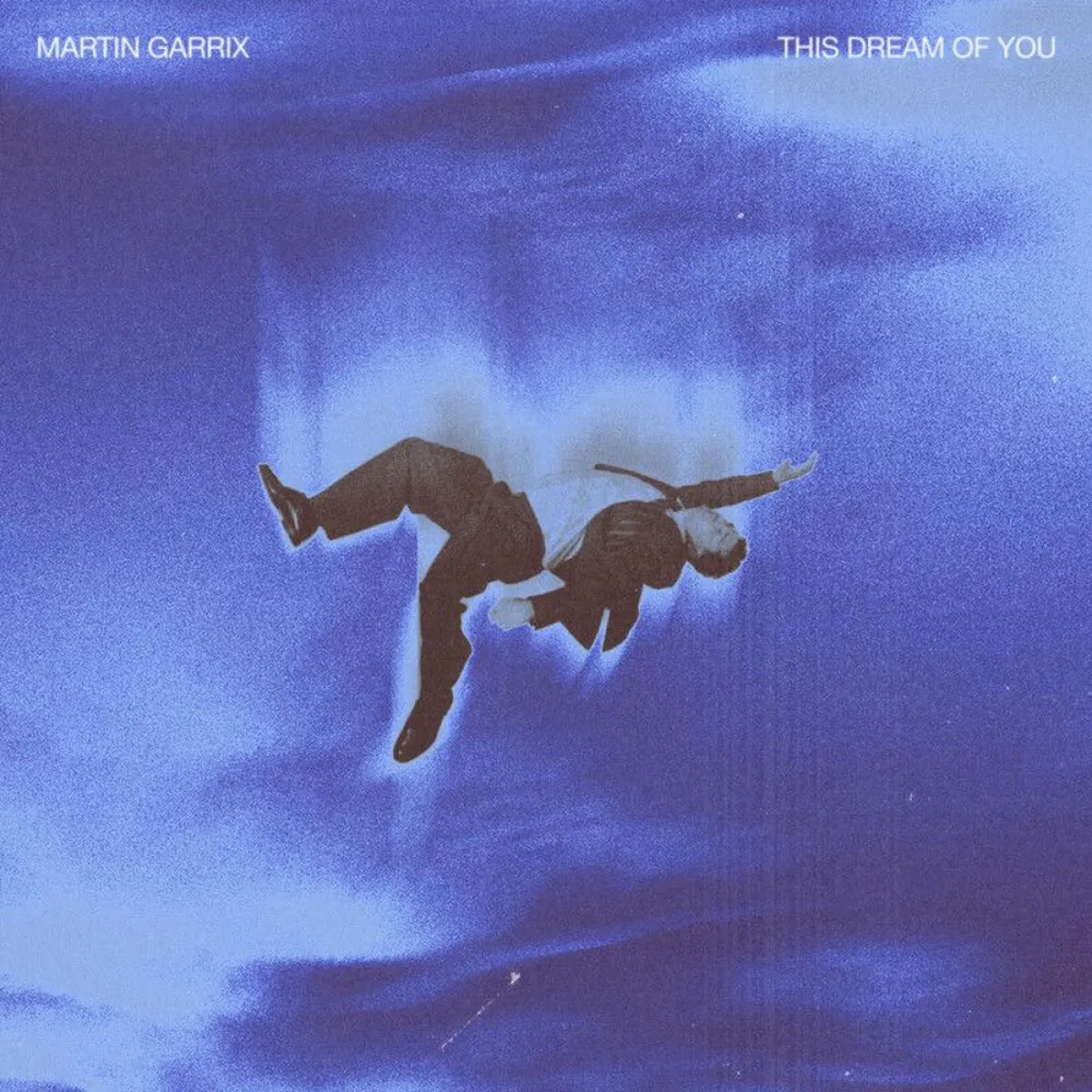 This Dream of You